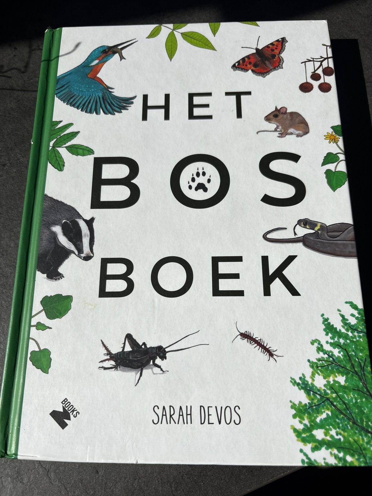 Het Bosboek - Ontdek de natuur in het bos, Ophalen of Verzenden, Zo goed als nieuw, Natuur algemeen