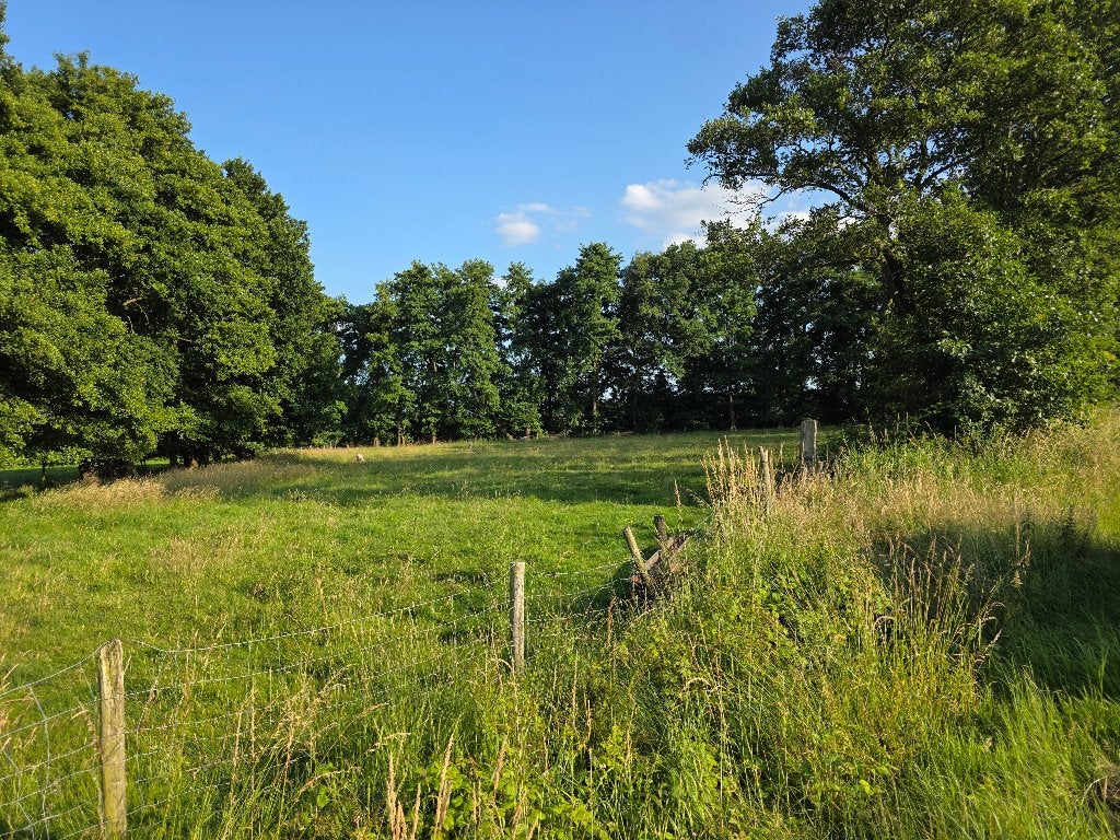 Mooi Bijzonder Perceel (+/- 3400m2), Venlo, Verkoop zonder makelaar, 1500 m² of meer