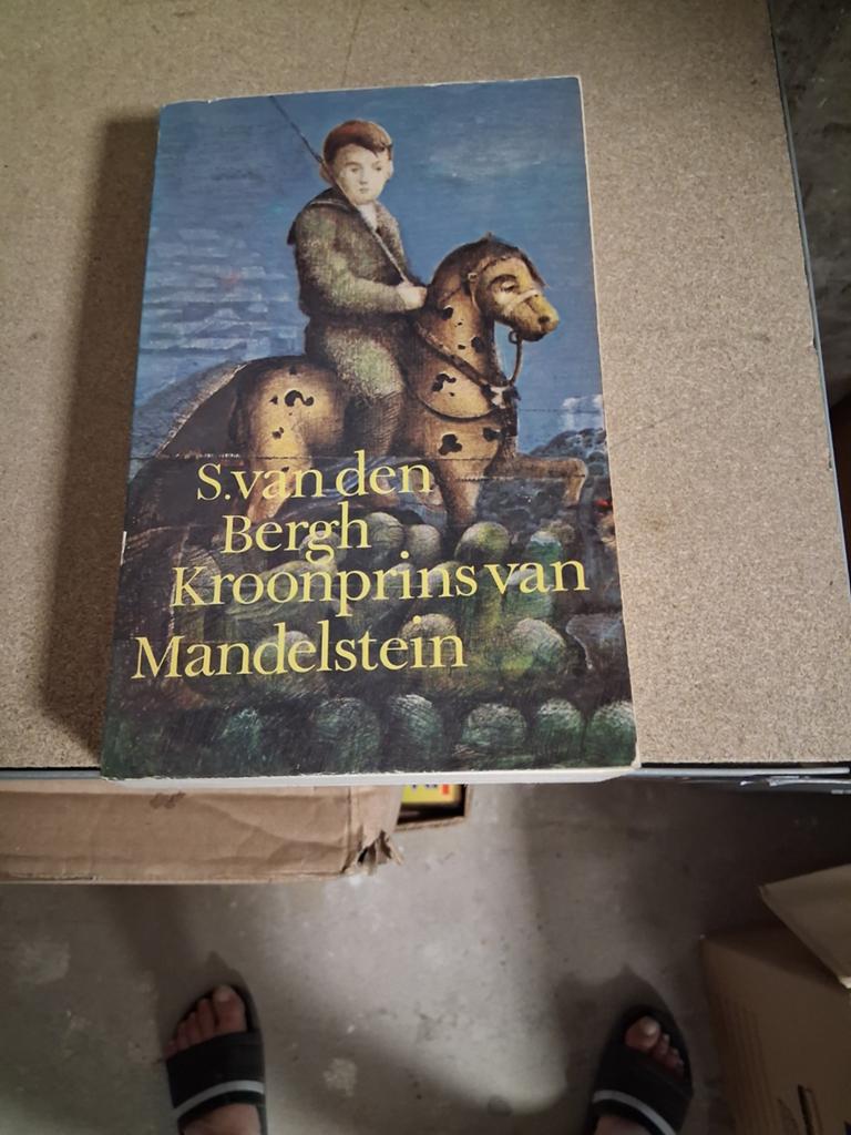 Kroonprins van Mandelstein - S. van den Bergh, Boeken, Literatuur, Gelezen, Nederland, Ophalen of Verzenden