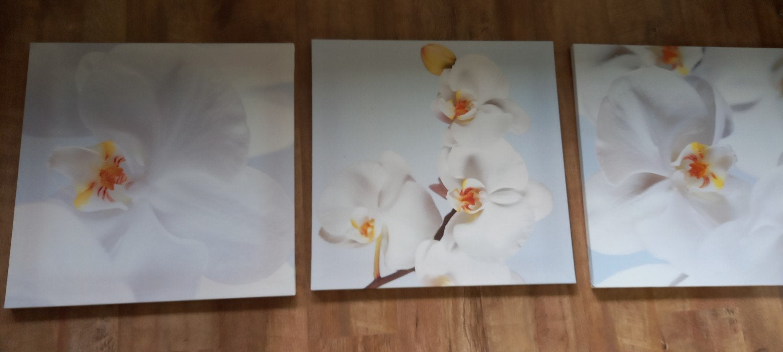 drie Luik Schilderij met witte Orchideeën, Ophalen of Verzenden, 50 tot 75 cm, Schilderij