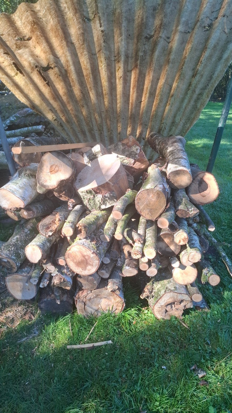 openhaard hout, Minder dan 3 m³, Ophalen, Berkenhout