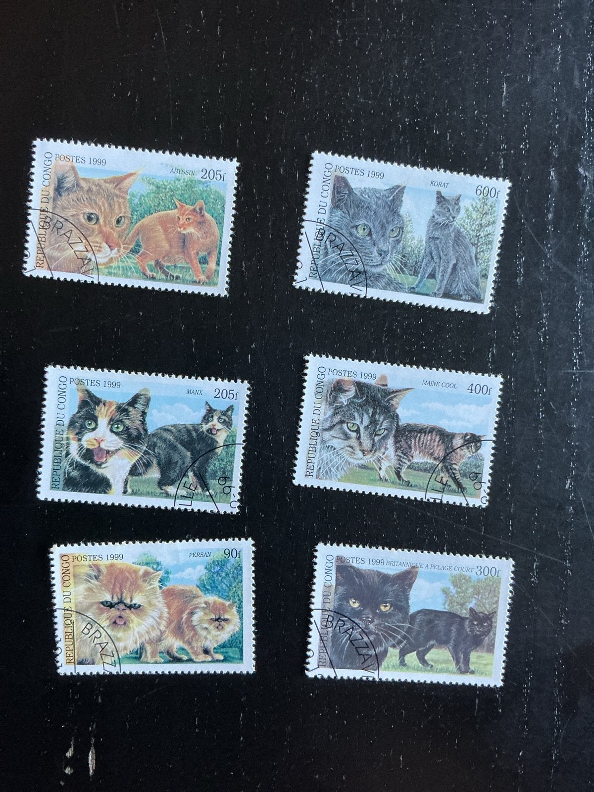 Postzegels Congo 1999 - Kattenrassen Collectie, Ophalen of Verzenden, Gestempeld, Dier of Natuur