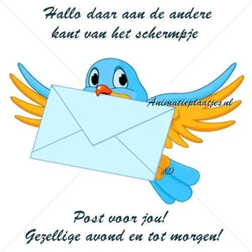 Gratis opvang voor vogels ook met kooi, Geringd