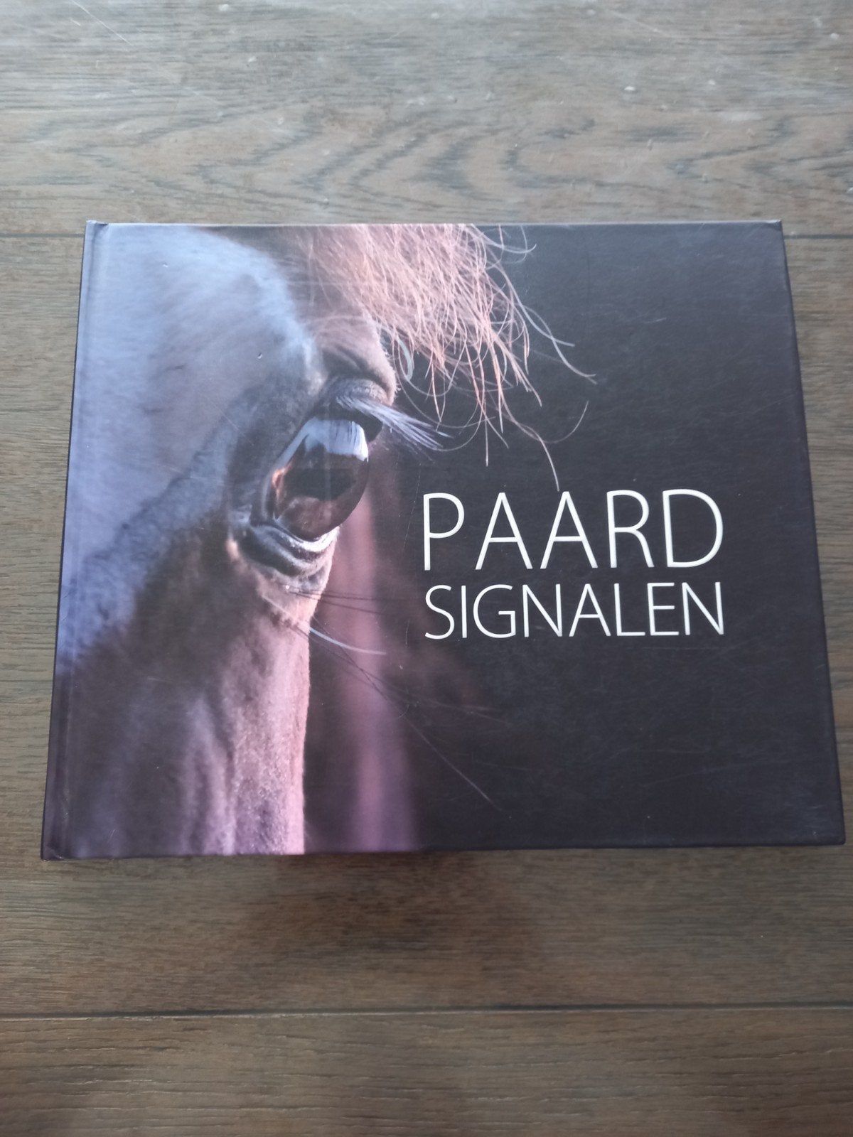 Anneke Hallebeek - Paardsignalen 6, Ophalen of Verzenden, Zo goed als nieuw, Anneke Hallebeek; Jan Hulsen; Menke Steenbergen