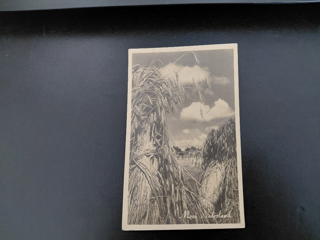 Mooi Nederland, doorkijkje korenschoven/graan, gelopen, 1947, Verzenden, 1940 tot 1960, Gelopen, Natuur