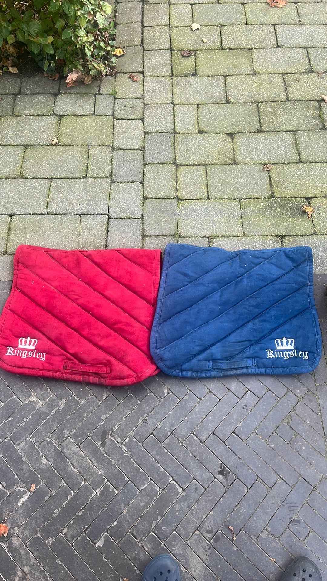 Kingsley dressuur dekje, Ophalen of Verzenden, Zo goed als nieuw