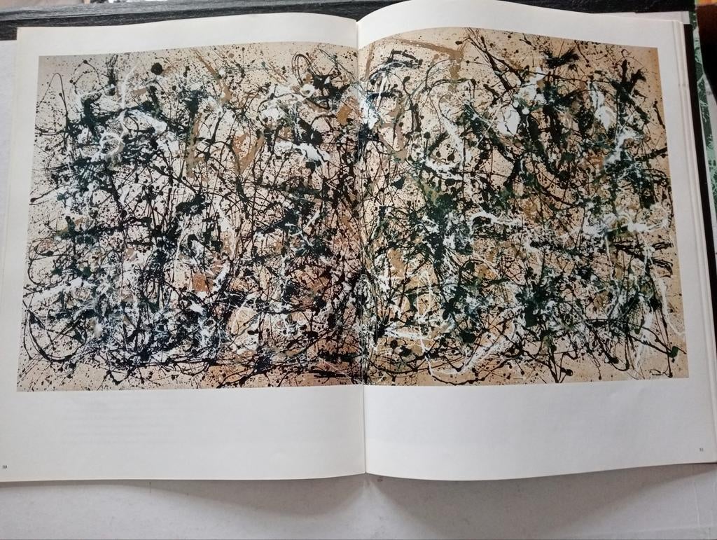 Jackson Pollock Willem de Kooning Barnett Newman Franz Kline, Boeken, Ophalen of Verzenden, Zo goed als nieuw, Overige typen