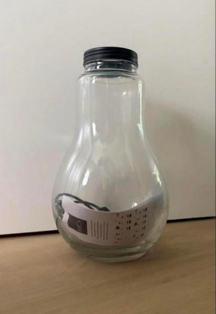 Mica Terrarium - mini-ecosysteem, Groene kamerplant, Ophalen, Halfschaduw, Minder dan 100 cm