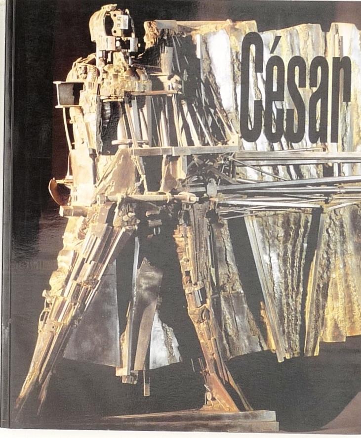 Cesar; Uitg Navarra; Datum 1990; Blz140, Ophalen of Verzenden, Zo goed als nieuw