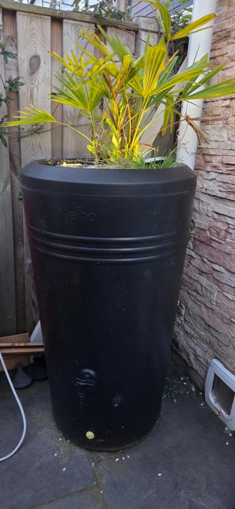 Grote Elho bloempot 200 liter, dia 61cm, hoog 110cm, Ophalen, Kunststof, Gebruikt, 40 cm of meer