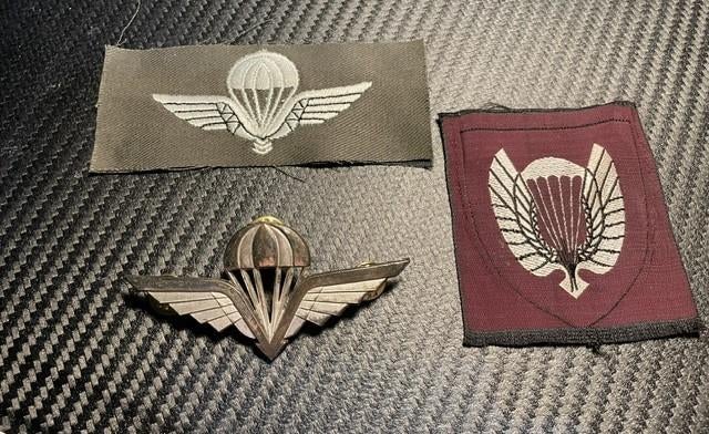 Lot Noorse para wings, Ophalen of Verzenden, Landmacht, Overige gebieden, Embleem of Badge