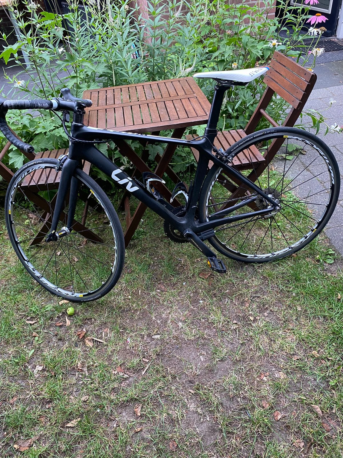 wielrenfiets Ireen wüst, Sport en Fitness, Wielrennen, Ophalen, Zo goed als nieuw, Overige typen