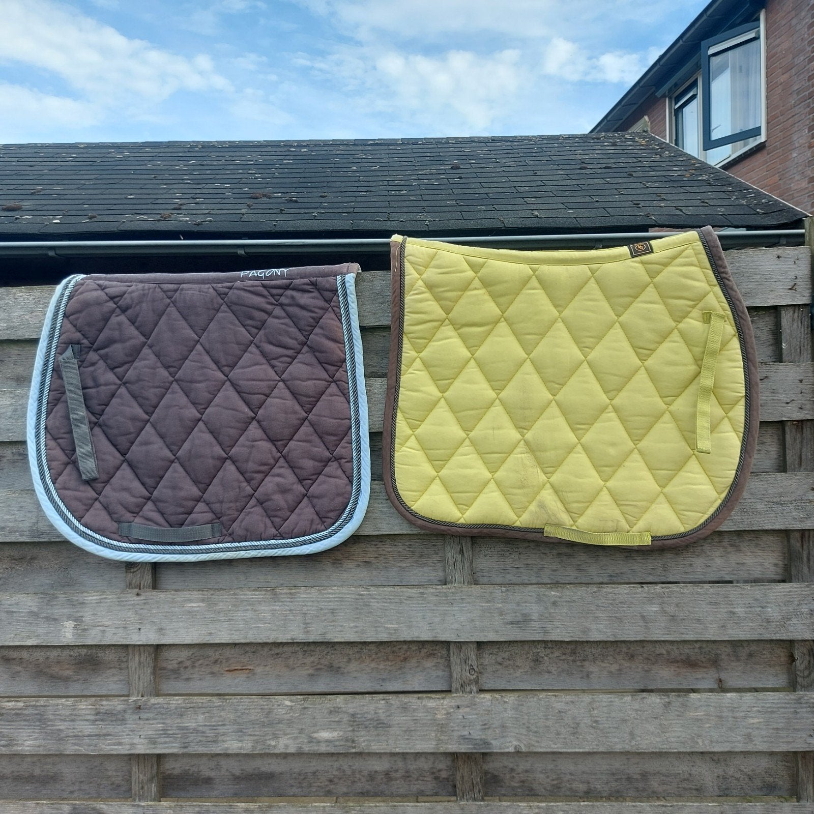 dekjes BR,Pagony, Dieren en Toebehoren, Ophalen of Verzenden