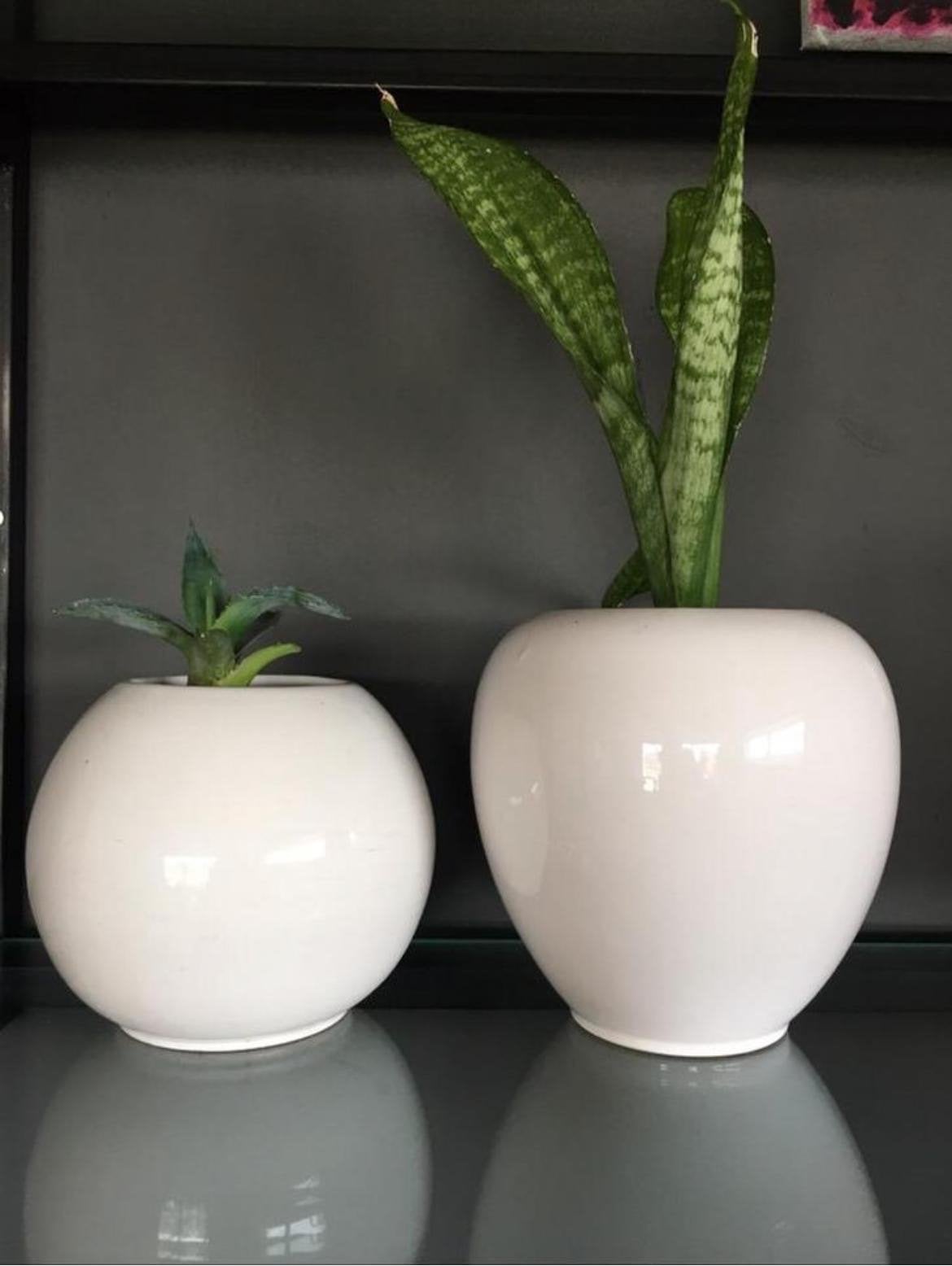 Witte Keramische Vazen Antiek vintage Modern Design, Ophalen