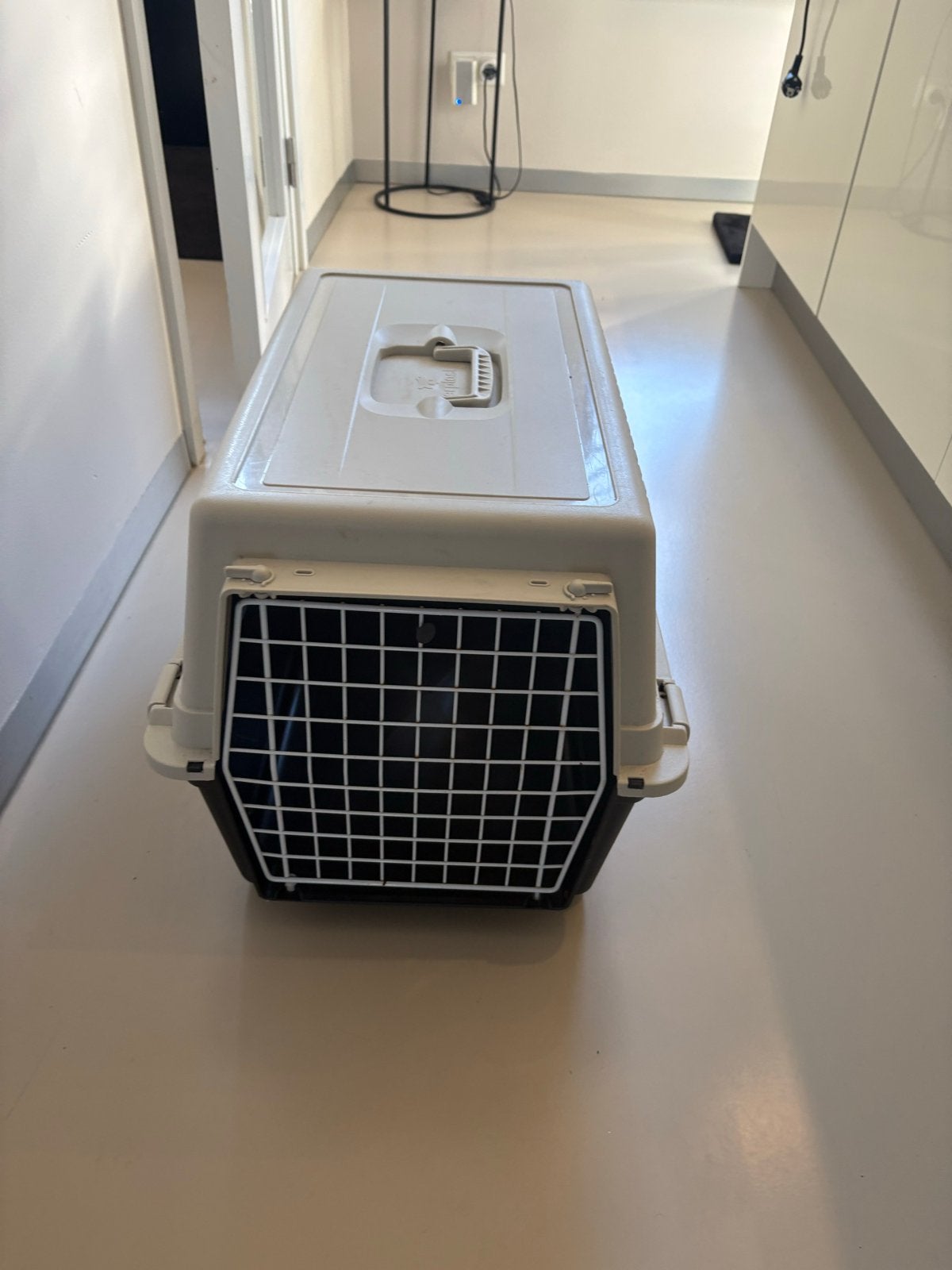 Transportbox voor kat of kleine hond L54x H40x Br30, Dieren en Toebehoren, Ophalen of Verzenden, Zo goed als nieuw
