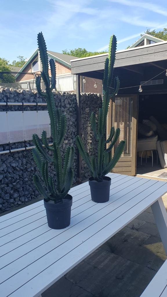 Kunst cactus 1.40 h. Zware kwaliteit, Ophalen, Buiten