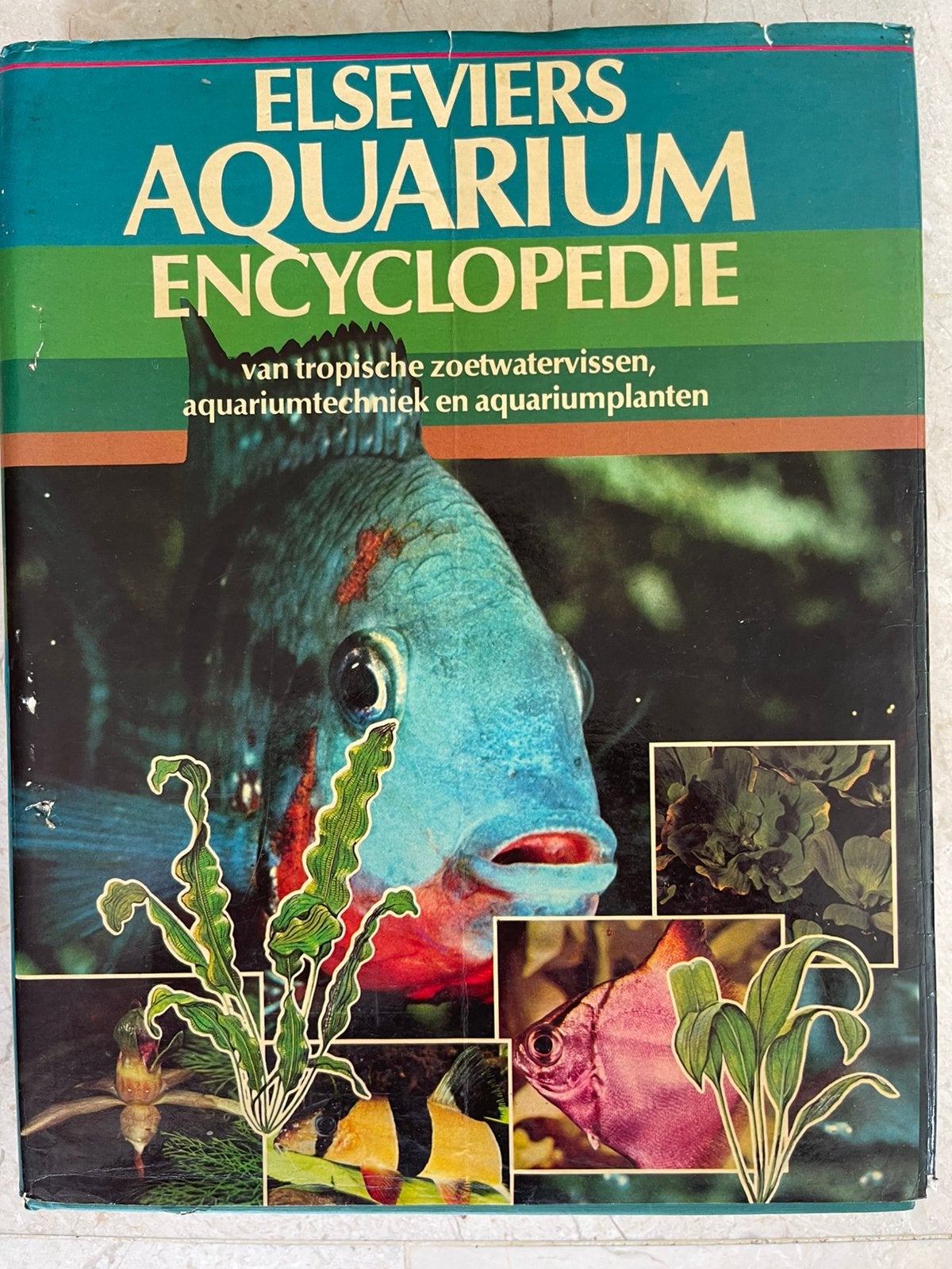 Zoetwater encyclopedie en discusvis, Dieren en Toebehoren, Vissen | Aquaria en Toebehoren, Ophalen of Verzenden, Zo goed als nieuw