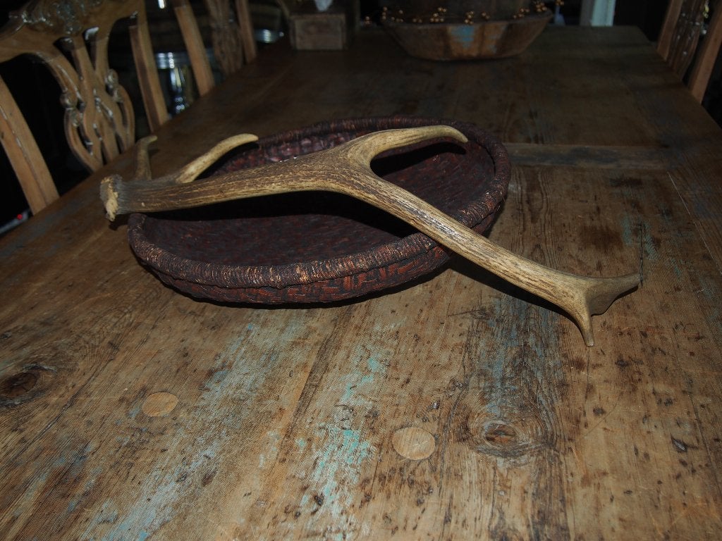 gewei, Verzamelen, Dierenverzamelingen, Ophalen of Verzenden, Gebruikt, Hert, Gewei of Kop