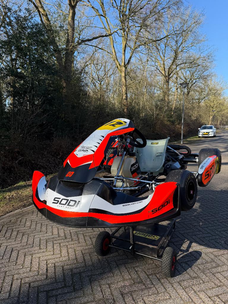 SODI kart met ROTAX 125 SENIOR MAX EVO motor, Sport en Fitness, Karting, Ophalen of Verzenden, Gebruikt, Kart