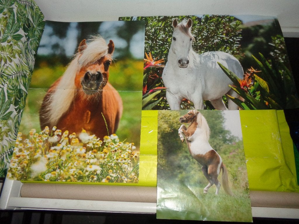 PAARDEN POSTERS €0,25 PER SET!, Ophalen, Gebruikt