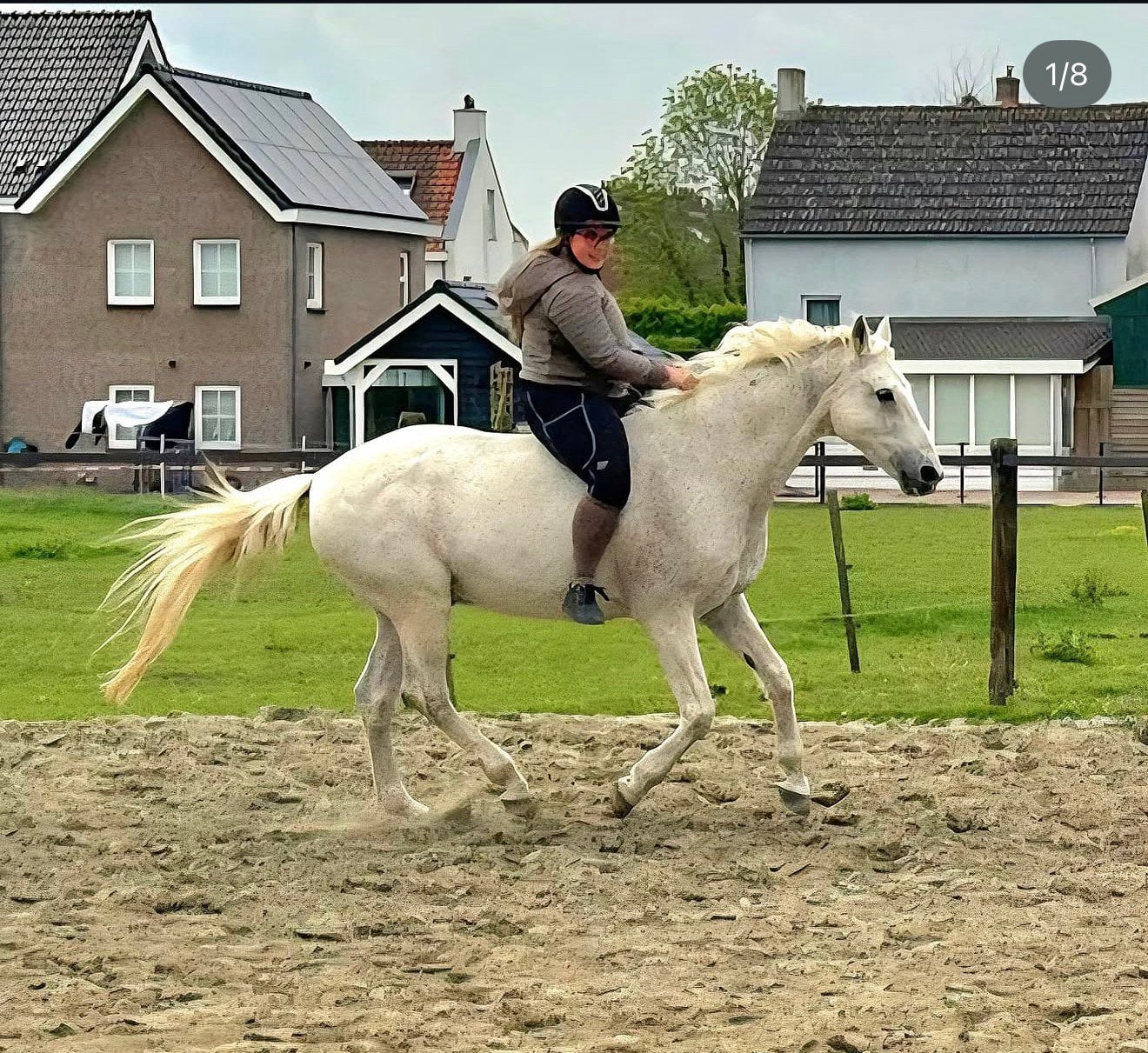 Lieve verzorgster gezocht, voor ruin met pensioen️, Ophalen