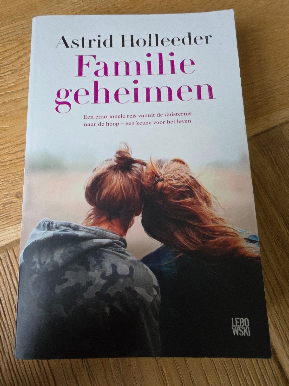 Familie geheimen - Astrid Holleeder, Ophalen of Verzenden, Zo goed als nieuw, Astrid Holleeder, Overige