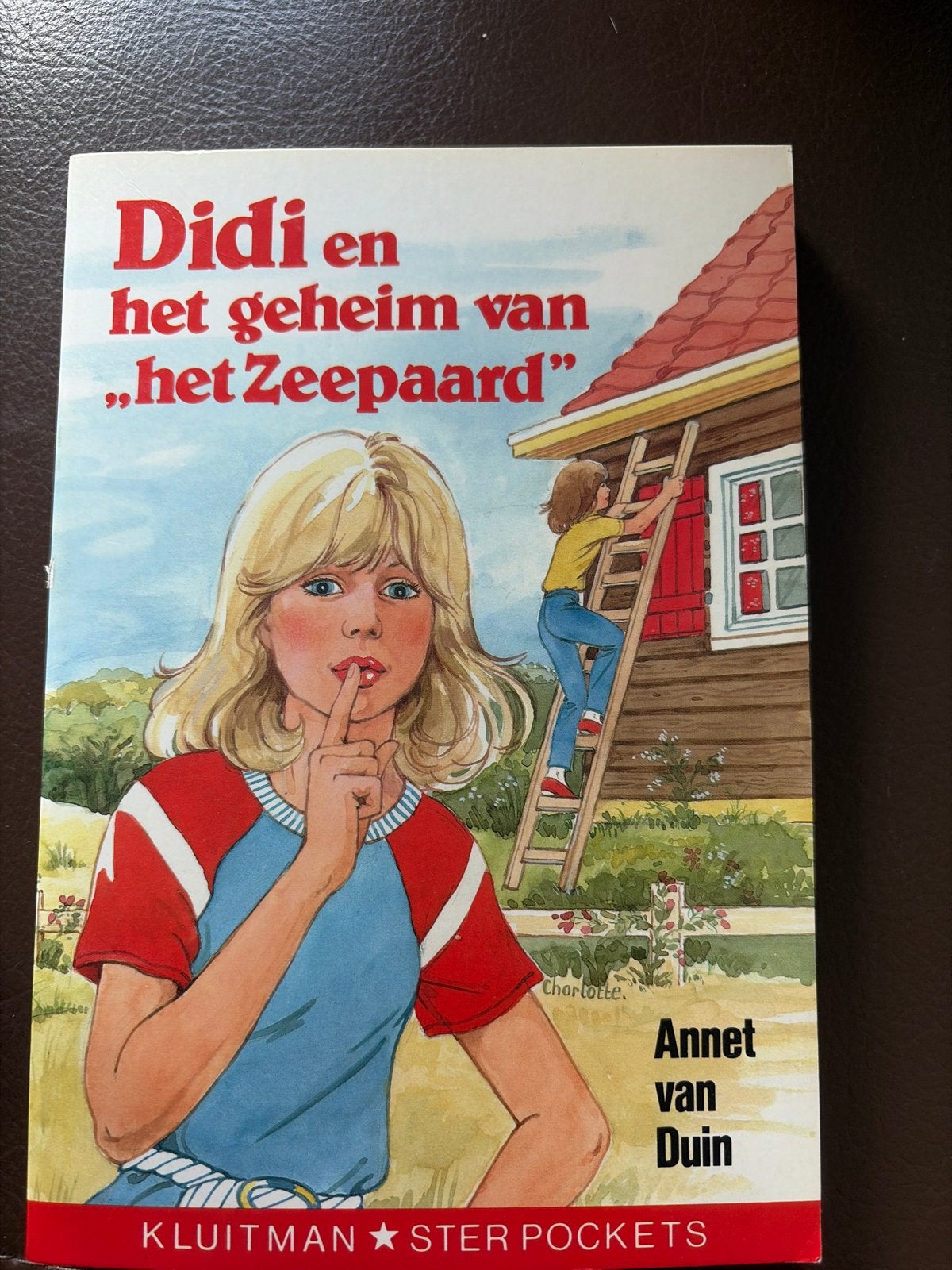Didi en het geheim van "het Zeepaard" - Annet van Duin, Boeken, Ophalen of Verzenden, Zo goed als nieuw, Fictie algemeen