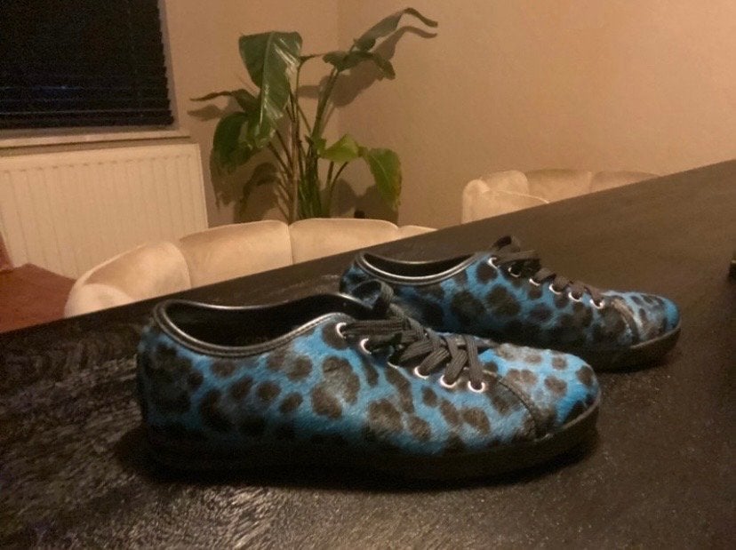 Dolce & Gabbana sneakers met luipaardprint, Ophalen, Zo goed als nieuw, Blauw, Sneakers of Gympen