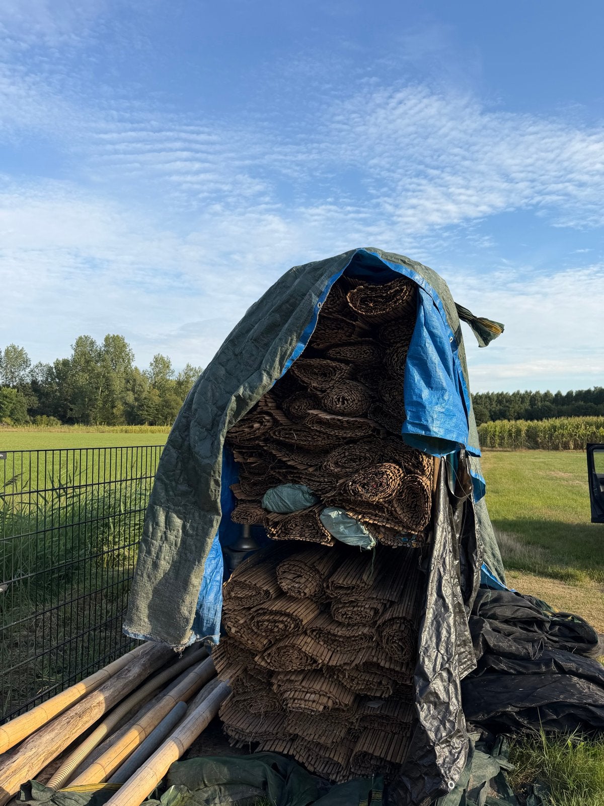Grote partij bamboematten en palen, Tuin en Terras, Ophalen, Overige materialen, Gebruikt, 6 meter of meer