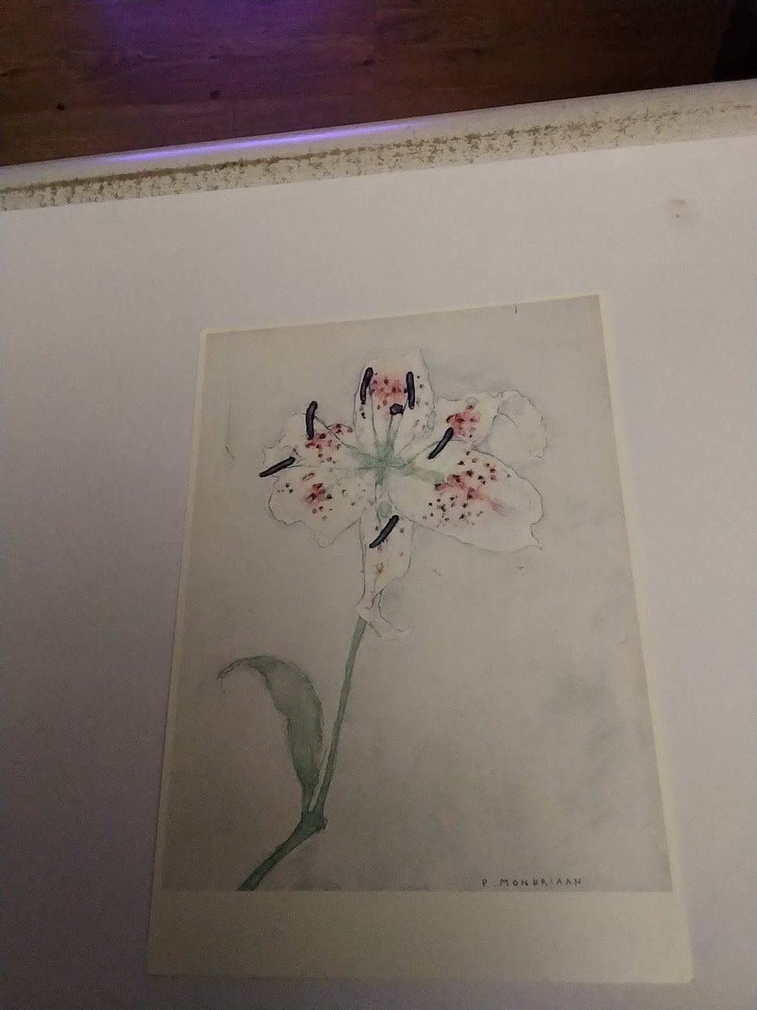 Piet Mondriaan - Lelie, na 1921 - Ansichtkaart, Ophalen of Verzenden, 1920 tot 1940, Ongelopen