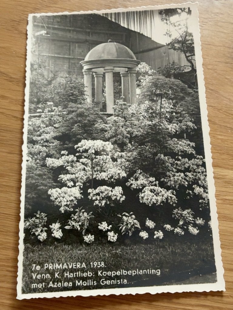 Fotokaart 7e Primavera Rotterdam 1938 K. Hartlieb, Verzamelen, Verzenden, 1920 tot 1940, Ongelopen, Zuid-Holland