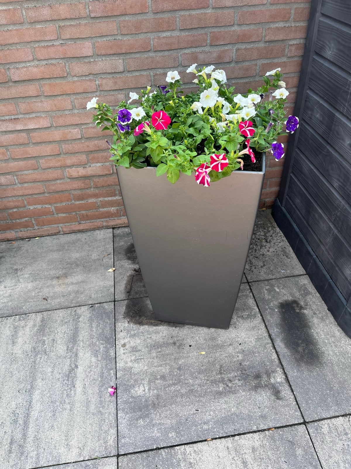 Grote bloempot antraciet, Overige materialen, Gebruikt, Balkon, Minder dan 60 cm
