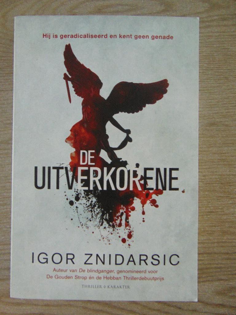 De uitverkorene - thriller boek Igor Znidarsic, Ophalen of Verzenden, Nederland, Igor Znidarsic, Zo goed als nieuw