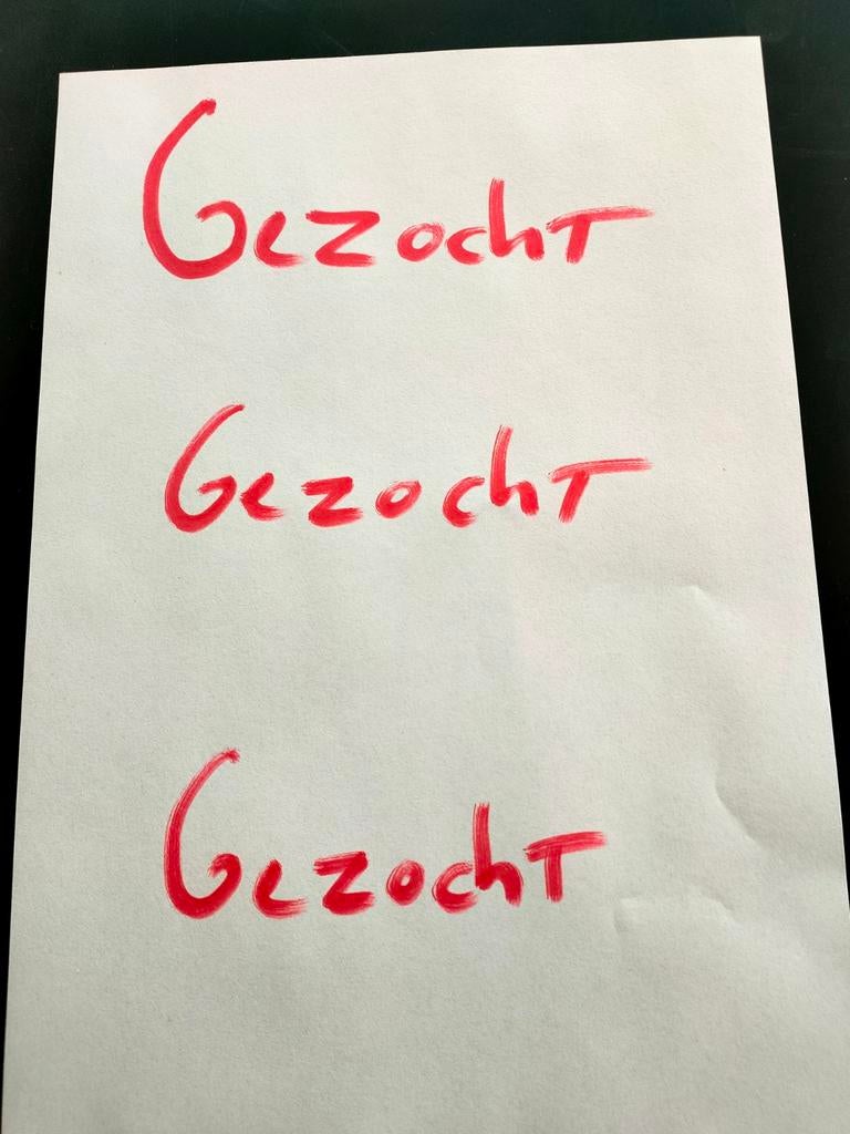 Boek Airmen in Zundert en Rijsbergen 1940-45, Ophalen of Verzenden, Luchtmacht, Paul de Rooij, Tweede Wereldoorlog