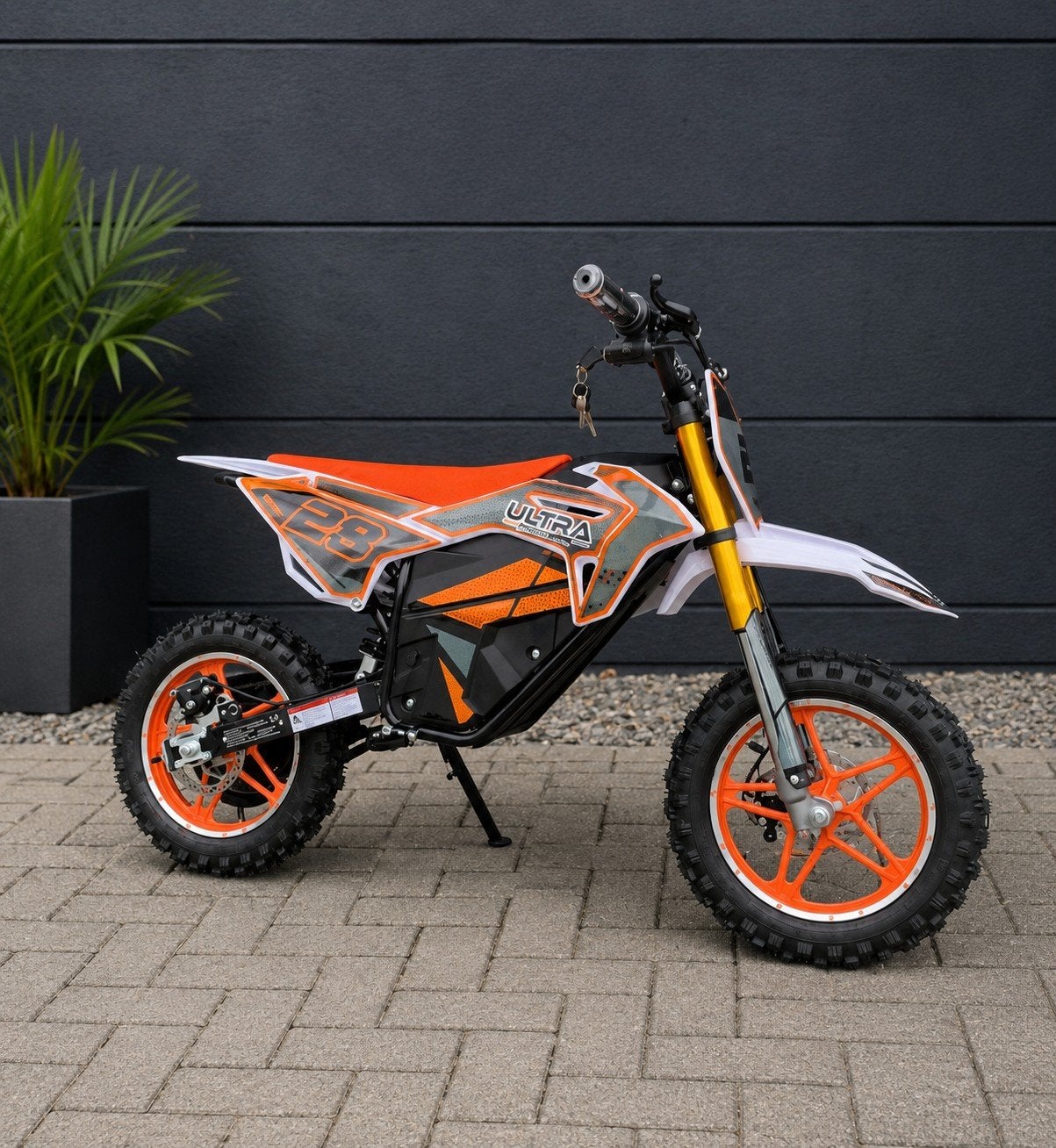 Crossmotor 1000W 36V - Nieuw Model, Ophalen of Verzenden, Nieuw, Overige typen