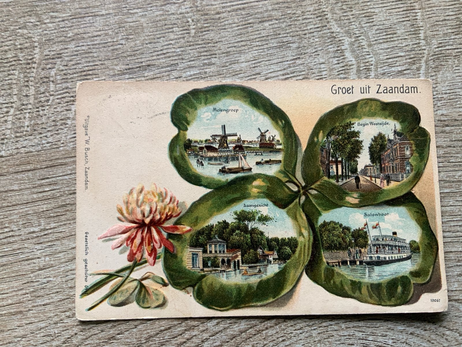 Groet uit Zaandam - Klavertje vier, Ophalen of Verzenden, Voor 1920, Gelopen, Noord-Holland