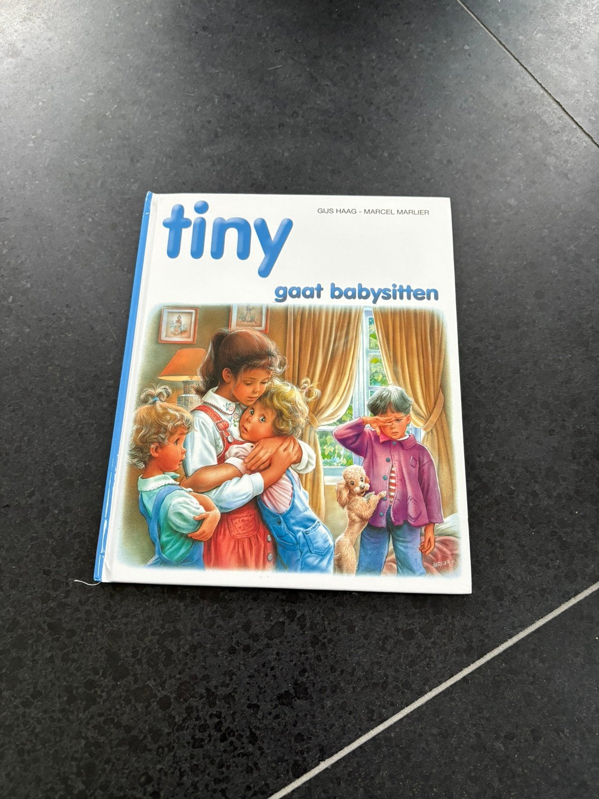 16 Tiny boeken Gijs Haas hard cover 1 koop, Ophalen, Zo goed als nieuw, Fictie algemeen
