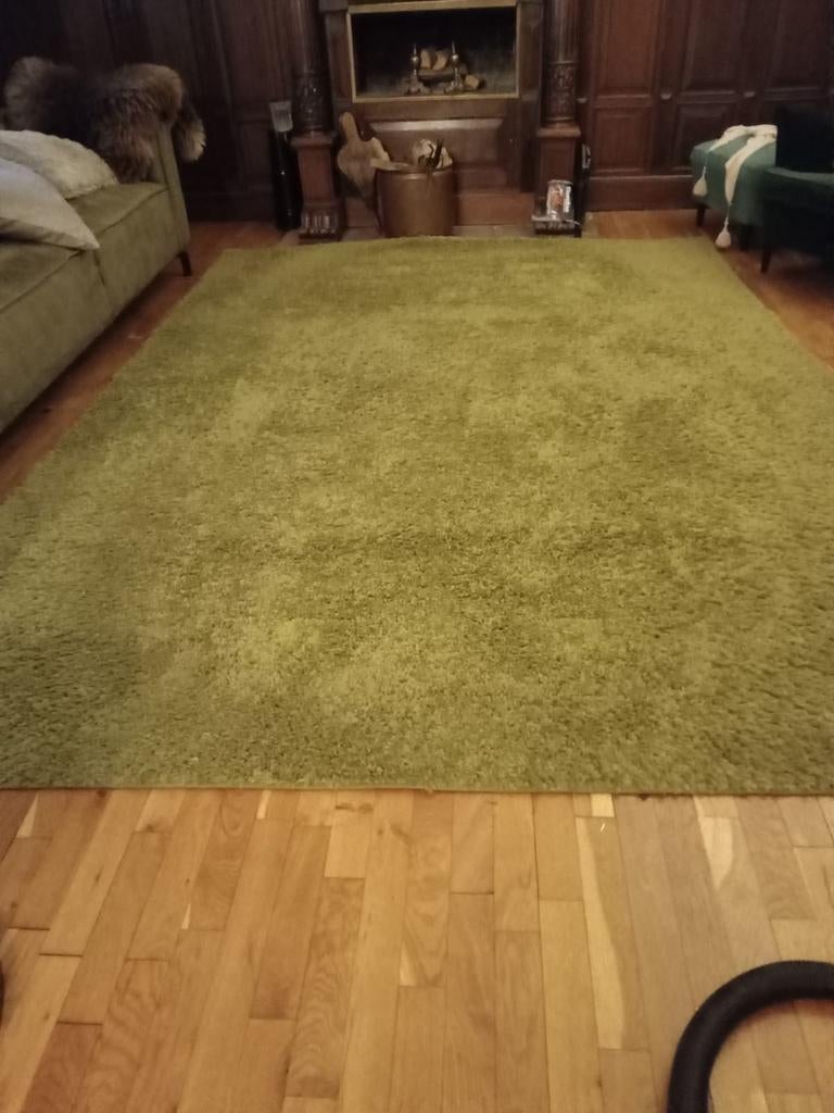 Groen hoogpolig vloerkleed 340 x 240 cm, Modern, Comfortabel, Gebruikt, 200 cm of meer, Ophalen of Verzenden