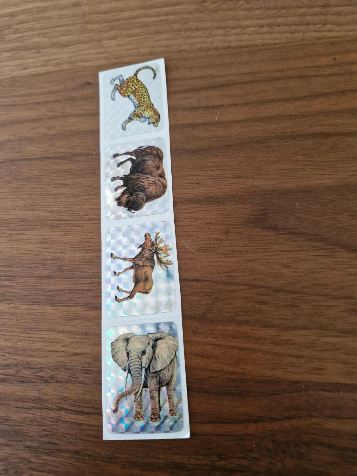 10142 Dieren stickers - Cheeta, Eland, Olifant, Bison, Ophalen of Verzenden, Nieuw, Dier en Natuur