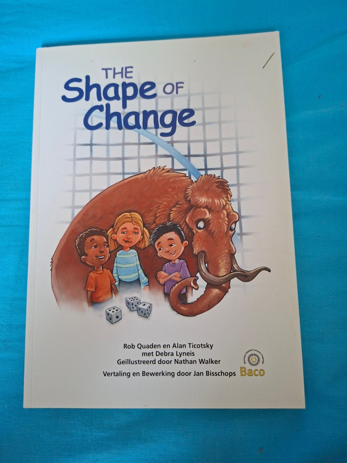 The Shape of Change, Boeken, Ophalen of Verzenden, Zo goed als nieuw, Rob quaden en Alan Ticotsky