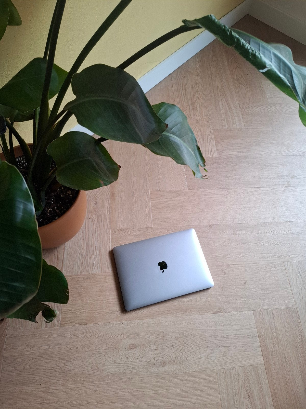 MacBook Pro 13-inch 2016 - 2.9 GHz i5, 8GB RAM, QWERTY, Computers en Software, Apple Macbooks, MacBook Pro, 2 tot 3 Ghz, 13 inch