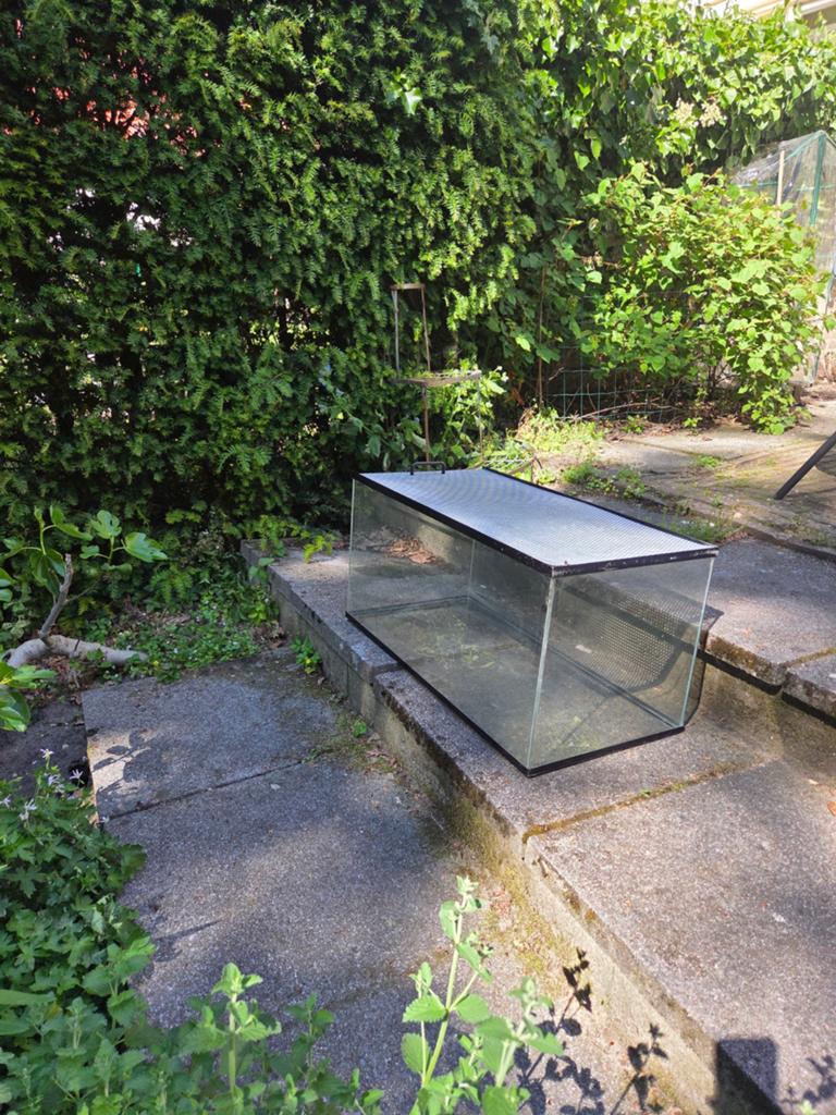 Terrarium voor reptielen, amfibieën of hamster, Ophalen