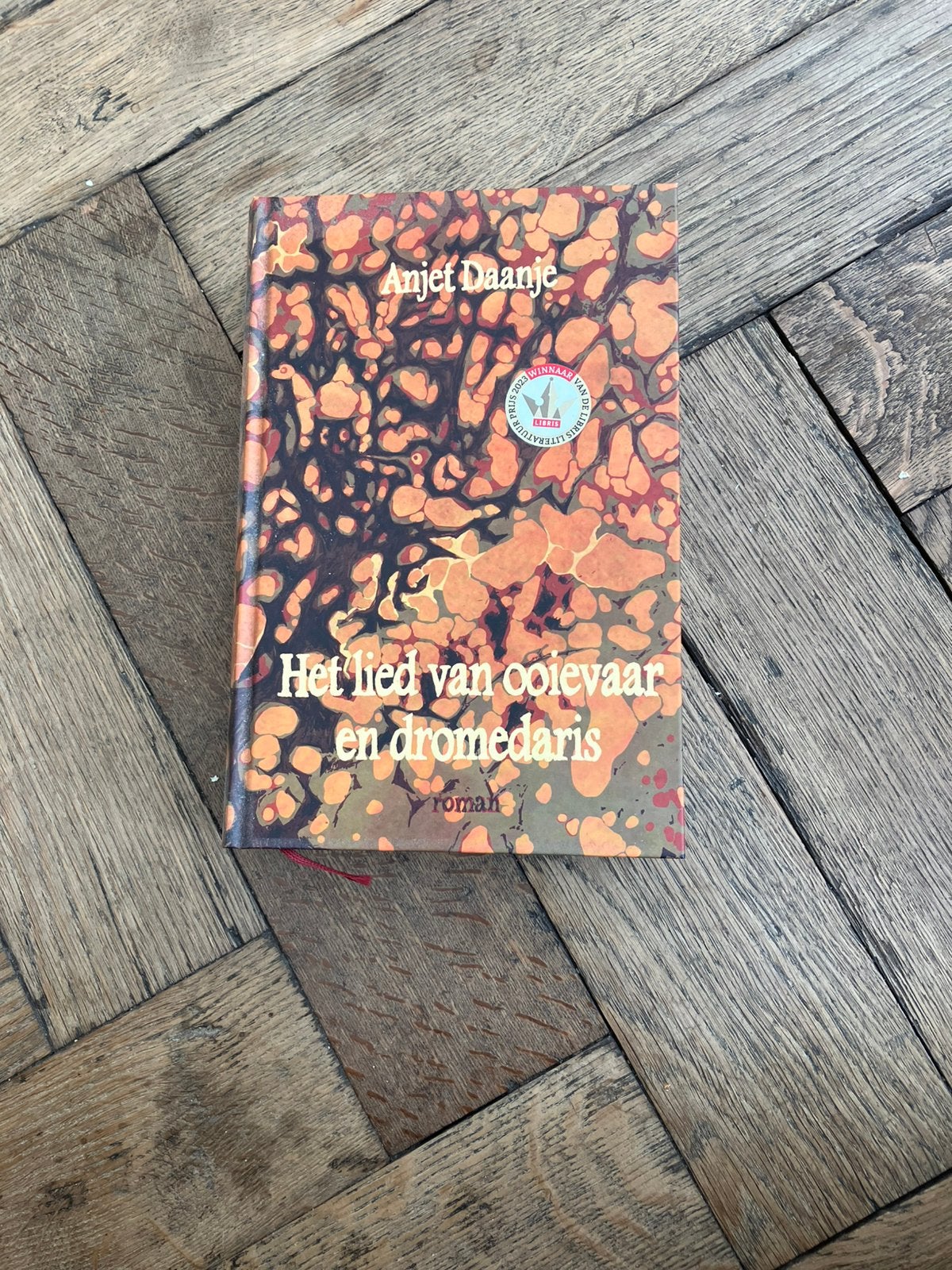 Het lied van ooievaar en dromedaris van Anjet Daanje, Boeken, Ophalen, Achtergrond en Informatie, Spiritualiteit algemeen, Nieuw
