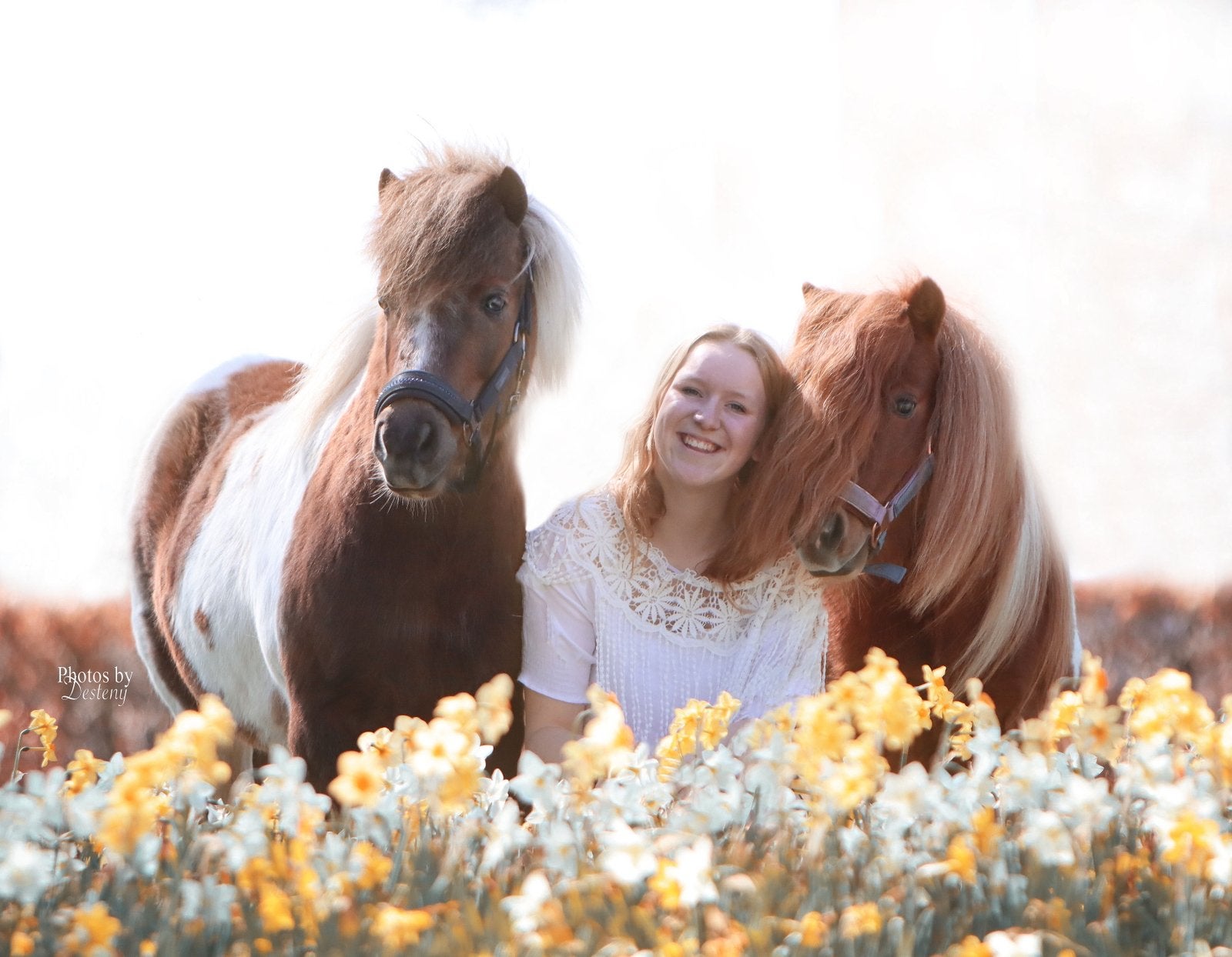 Verzorger(s) gezocht voor kijn 2 lieve shetjes, Ophalen of Verzenden