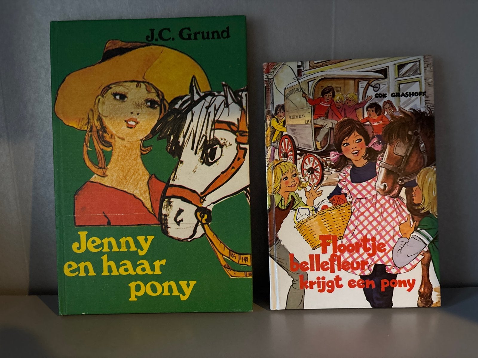 Jenny en haar pony & Floortje Bellefleur krijgt een pony, Boeken, Ophalen of Verzenden, Gelezen, Fictie