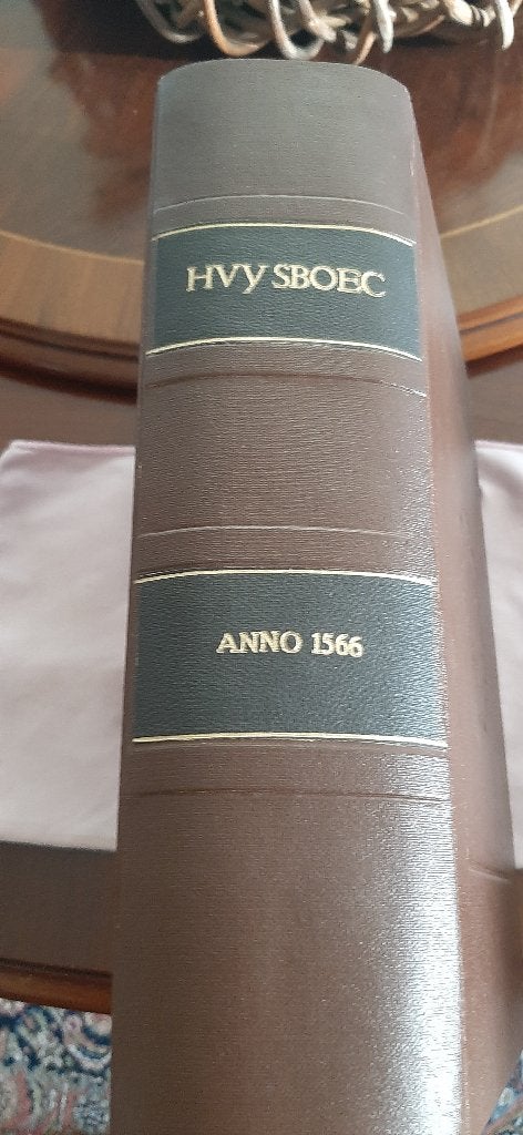 Huysboec, Heinrich Bullinger, Ophalen of Verzenden, Nieuw, Christendom | Protestants