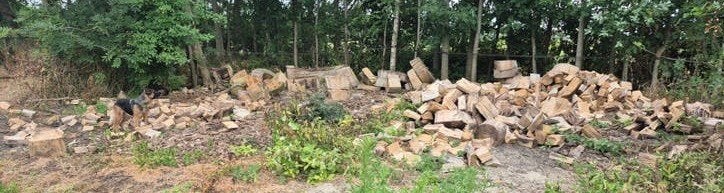 Grote partij haardhout  (Populier), Tuin en Terras, Haardhout, 6 m³ of meer, Ophalen, Overige houtsoorten, Blokken