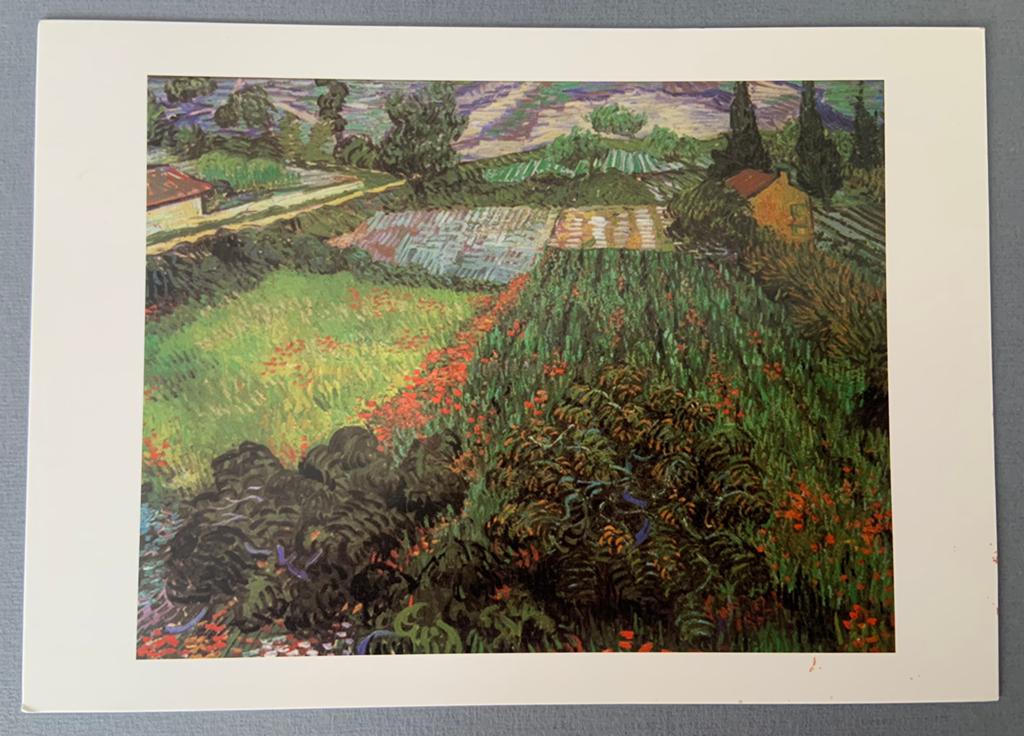 Vincent van Gogh - Mohnfeld, 1889, Verzenden, 1980 tot heden, Ongelopen, Natuur