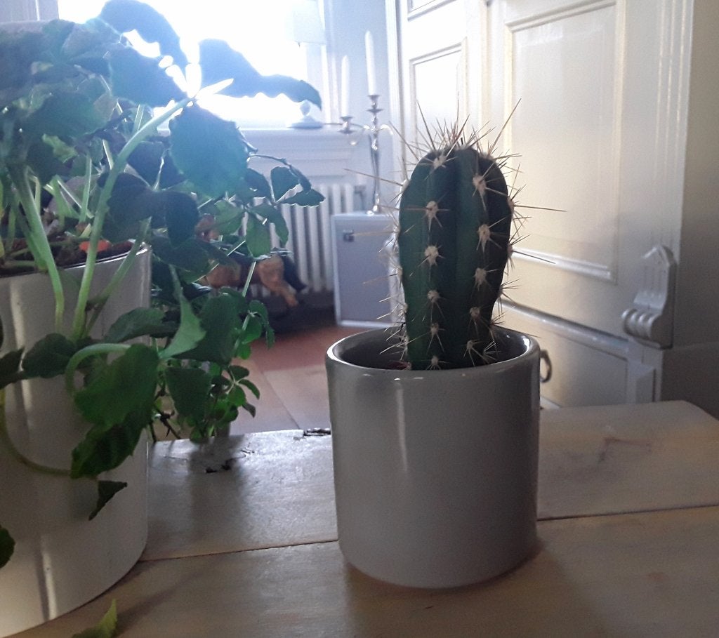 Grijs bloempotje - cactuspotje - pennenpotje - lepelpotje, Tuin en Terras, Bloempotten, Rond, Binnen, Ophalen of Verzenden, Zo goed als nieuw