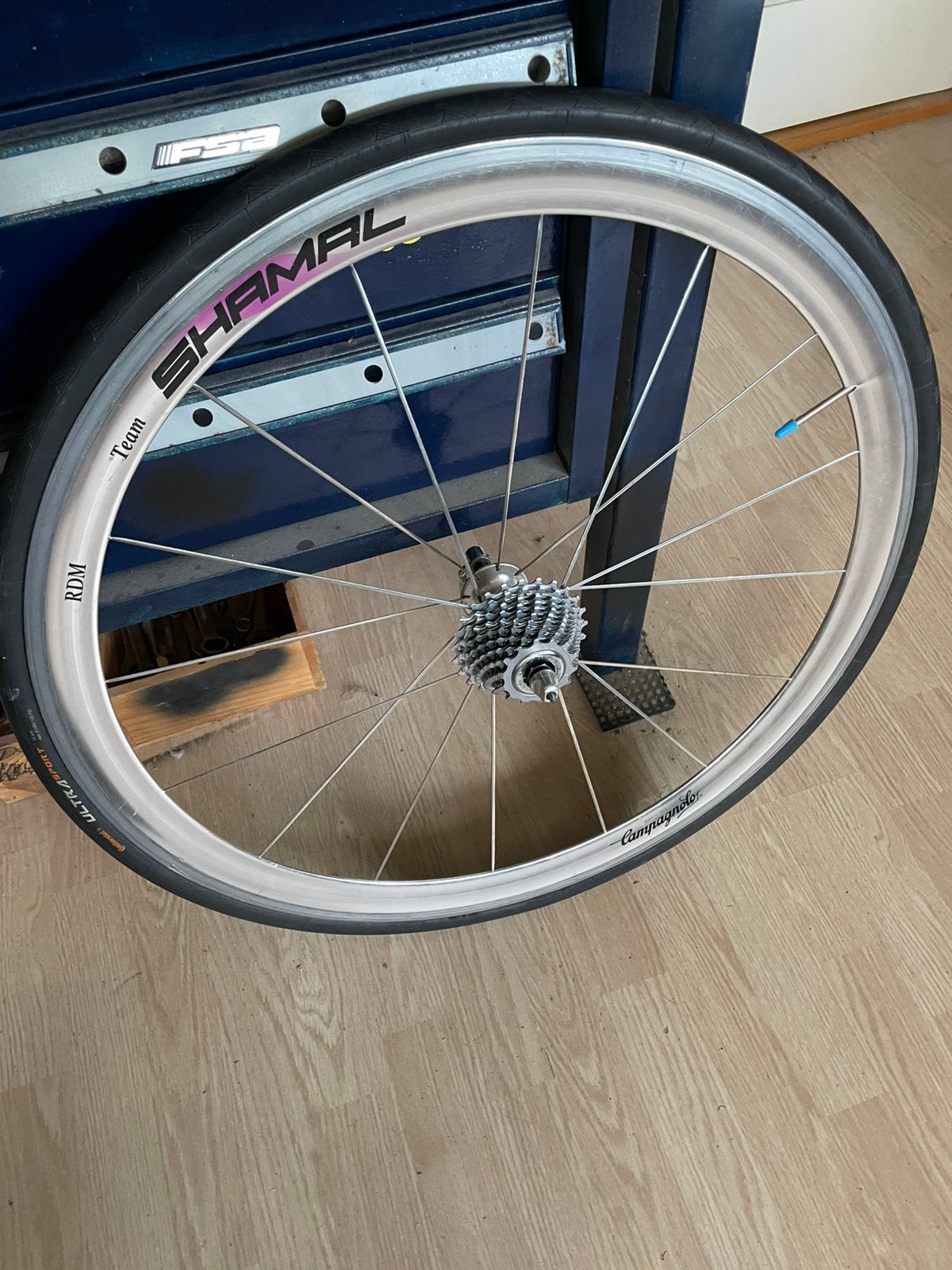 Campagnolo shamal velgset. 10 speed., Overige merken, 10 tot 15 versnellingen, Aluminium, Ophalen of Verzenden